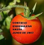 20051213144049-tomatito.jpg